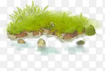 �ֻ�С��-������