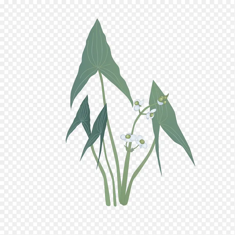 �ֻ�С��-������