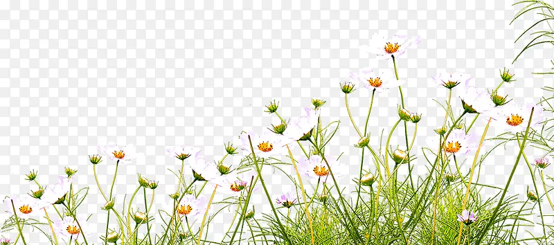 С��-������