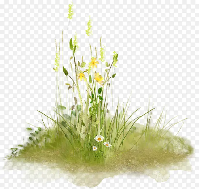 С��Ҷ�ӱ���װ��-������