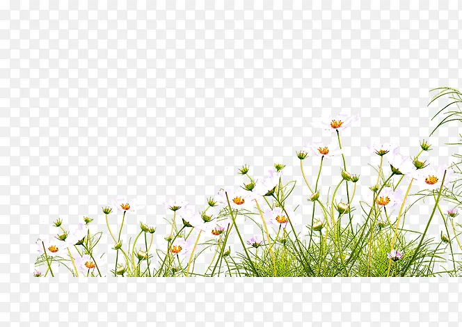 �ݻ�-������