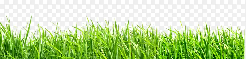 С��-������