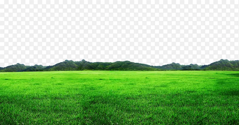 ��ɫ�ݵ�-������