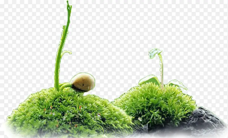 С��-������