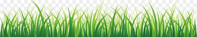 С��-������