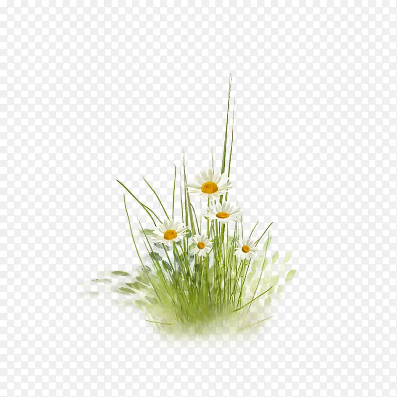 С��-������