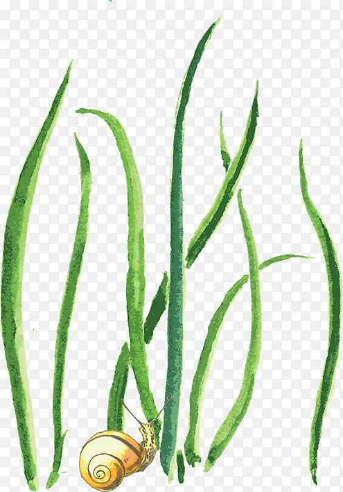 С��-������