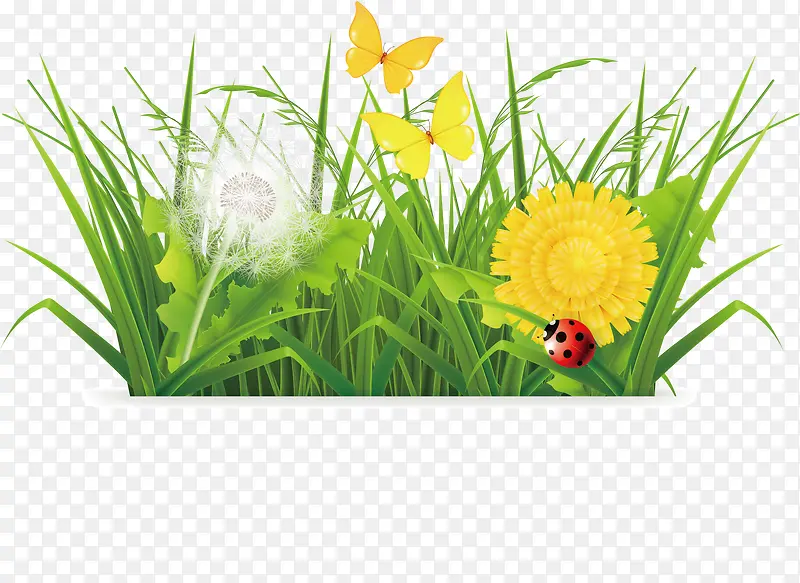 С��-������