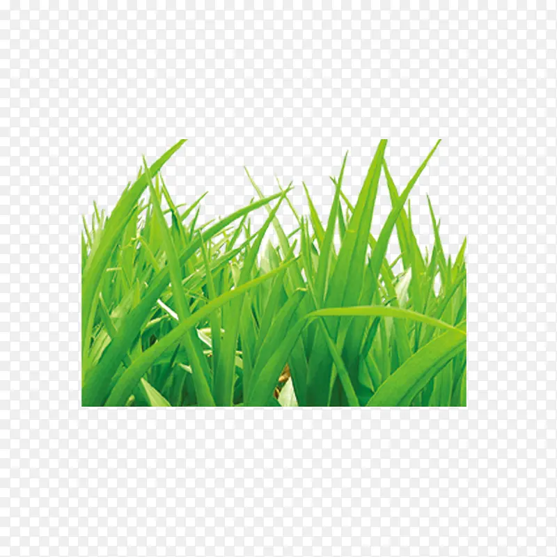 С��-������