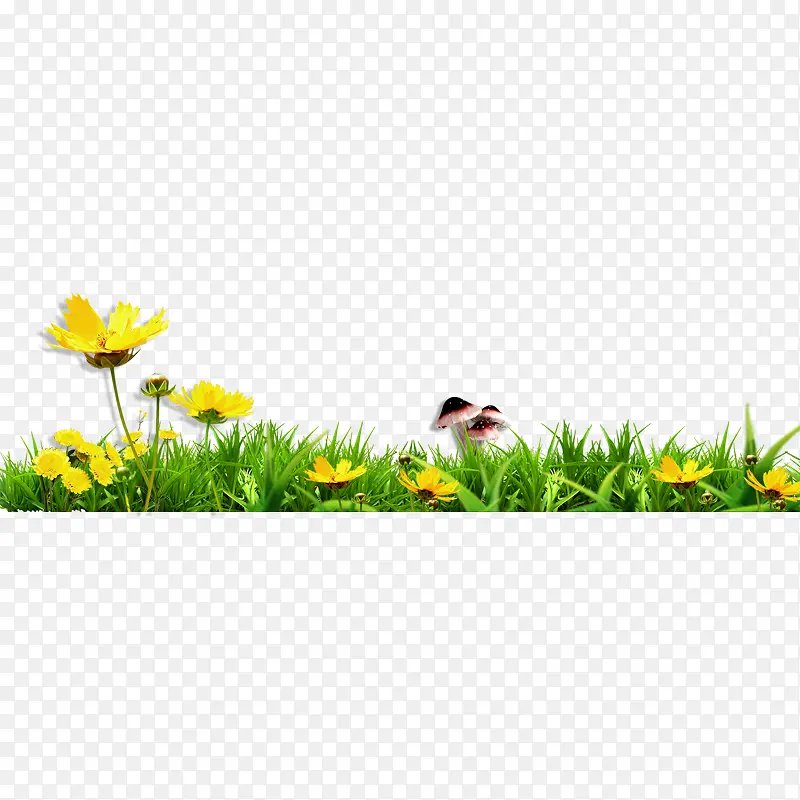 С��-������