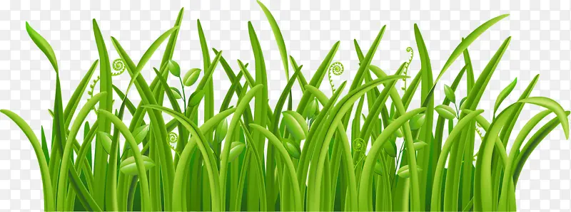 ��ɫС��-������