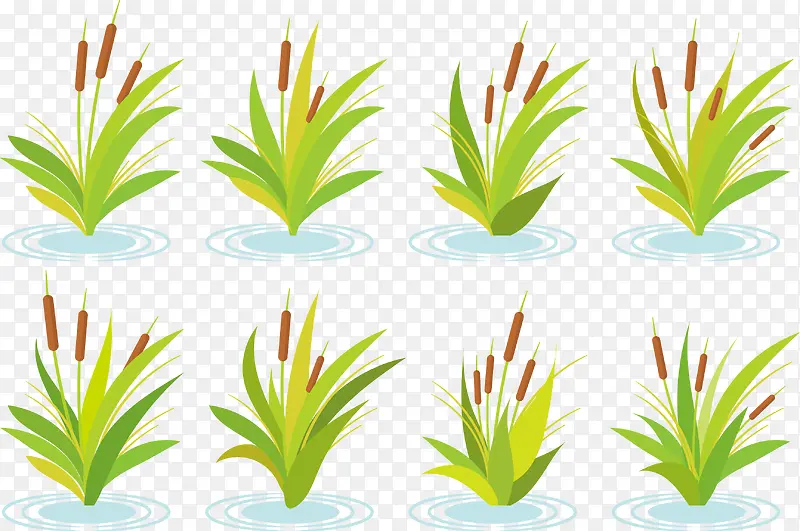 ʸ��С��-������