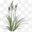 ��ɫС��ͼ������-������