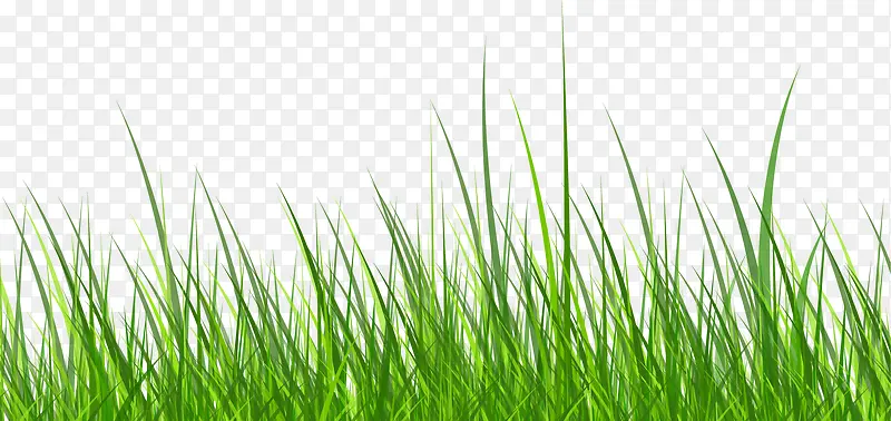 ��ɫС��-������