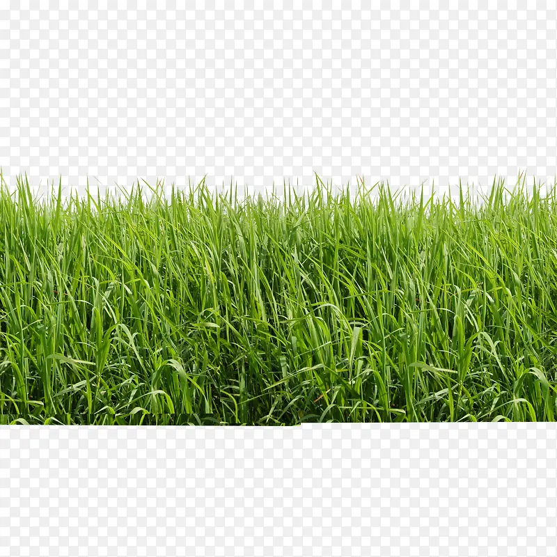 С��-������