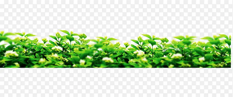 �ݵ�-������