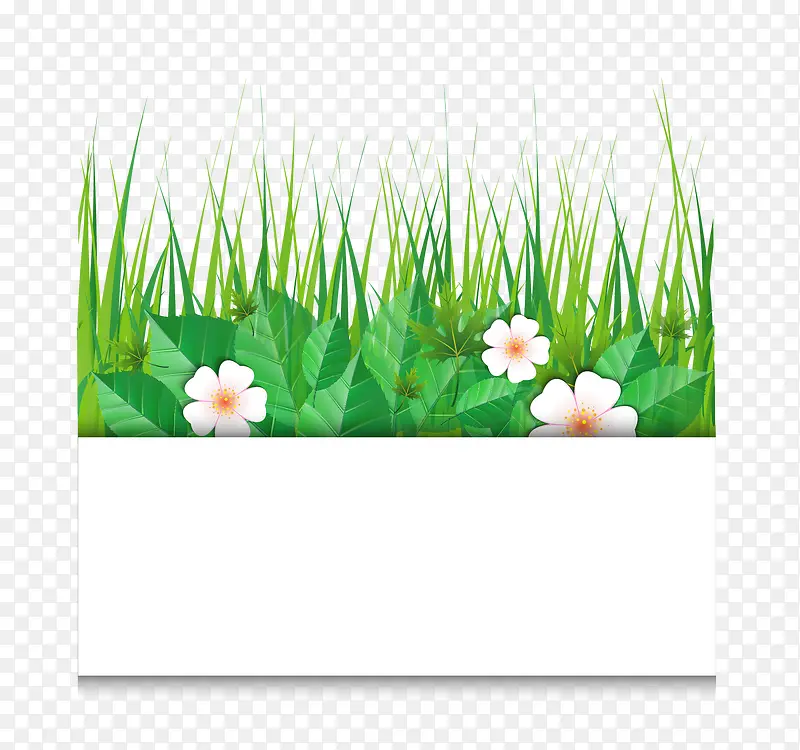 С�ݱ߿�-������