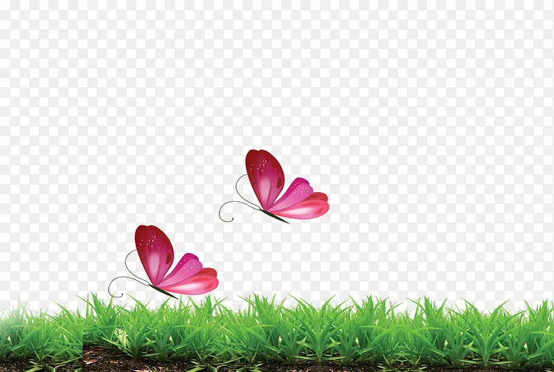 С�� С��-������