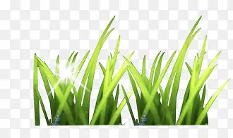 ��ɫС��-������