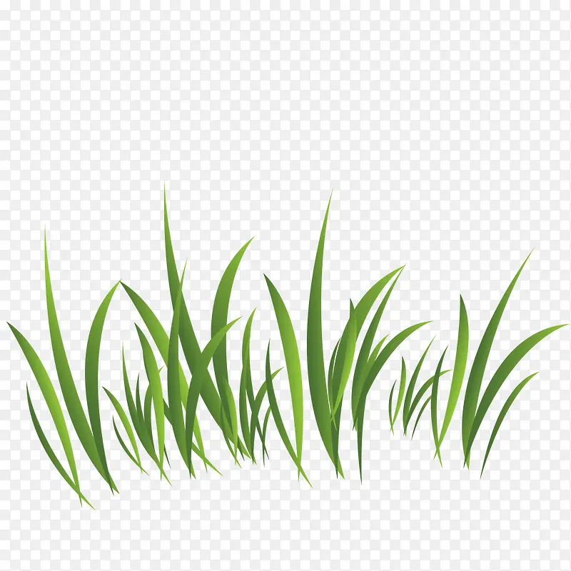 ��ɫС��-������