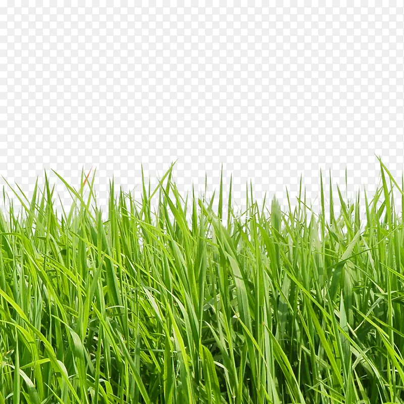 �ݵ�-������