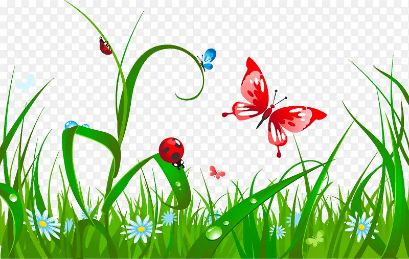 �ݵز�ƺ-������