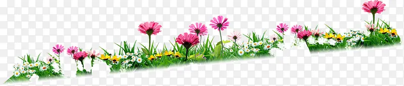 С�ݱ���-������