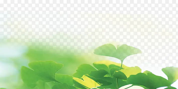 С��-������