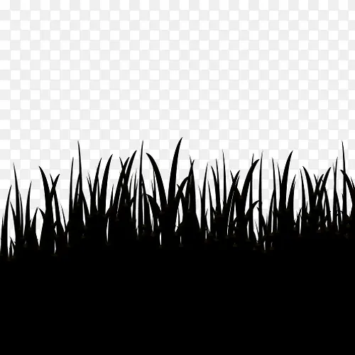 С��-������