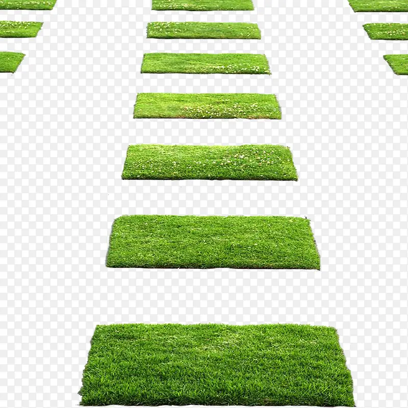 ��ƺ-������