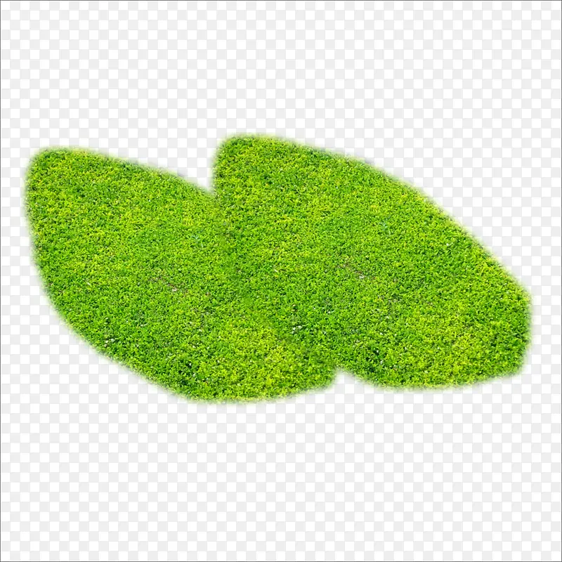 ֲ��-������