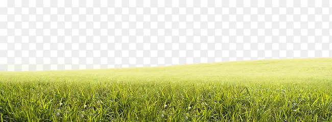 ��-������