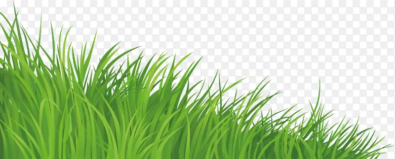 ��ɫС��-������