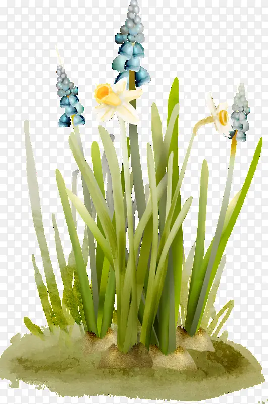 ��ͨ����С��װ��-������