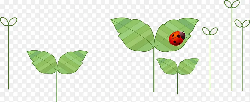 ��ͨ�ֻ�С��-������