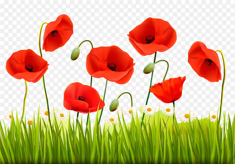 ��ɫ����С�ݿ�ͨ�����ز�-������