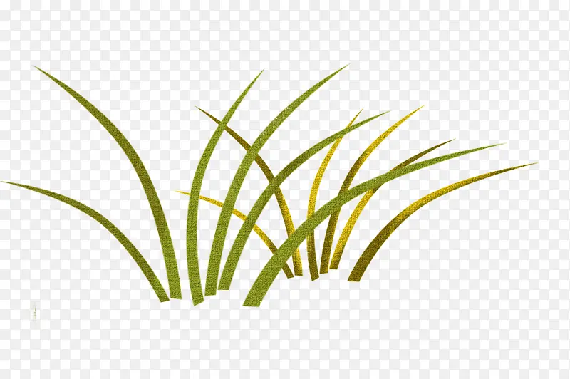 ��ɫ��ͨС��-������