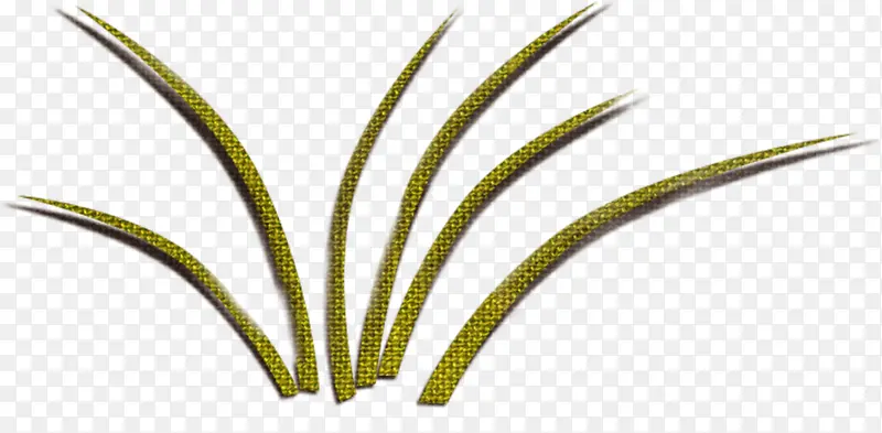 ��ɫС��-������