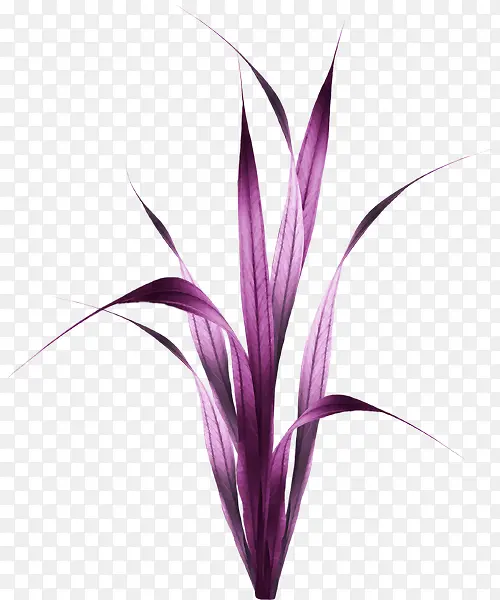 С��-������