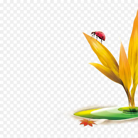 С��  ����ư��-������