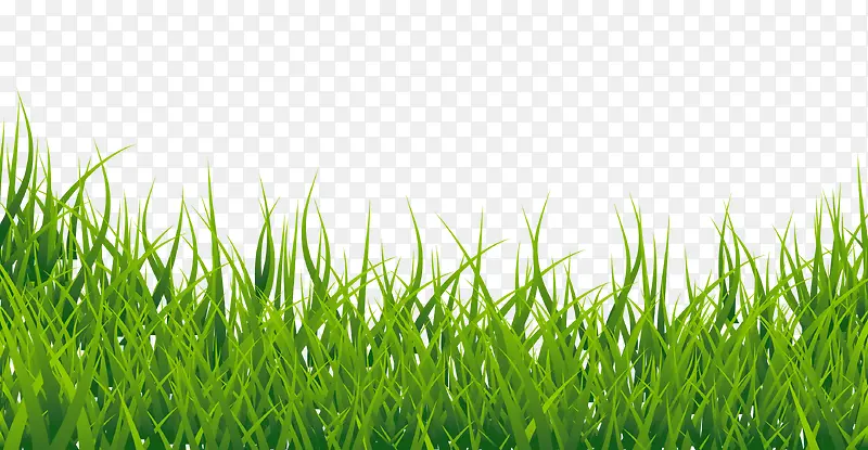 ��ɫС��-������