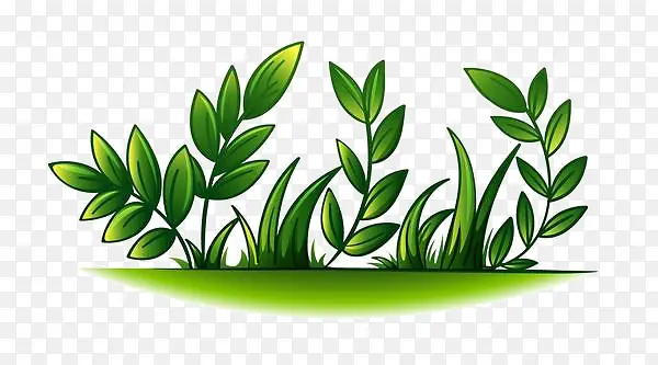 ��ͨС���ز�-������