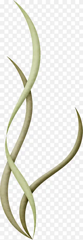 �̲�-������