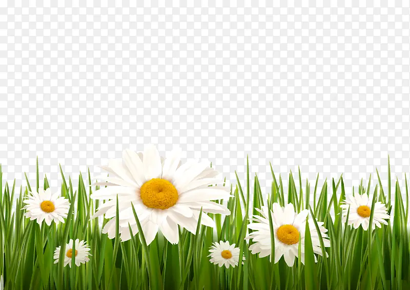 С��-������