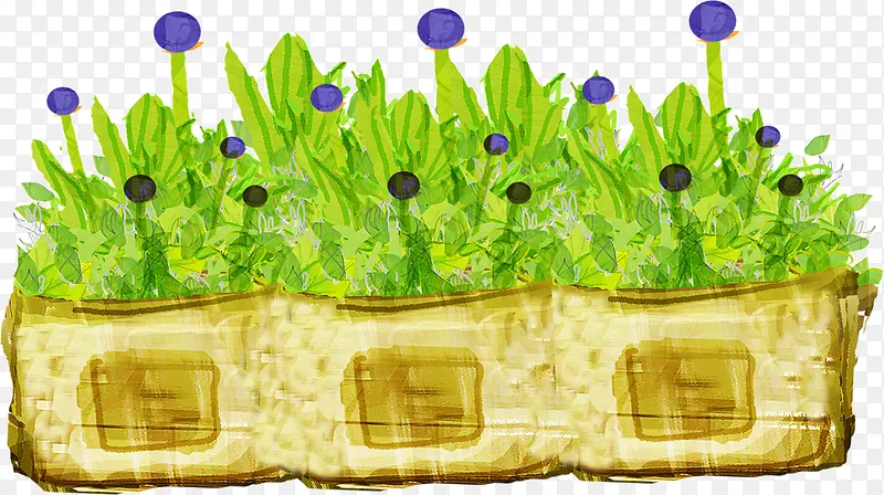 ��ͨ�ʻ�С��-������