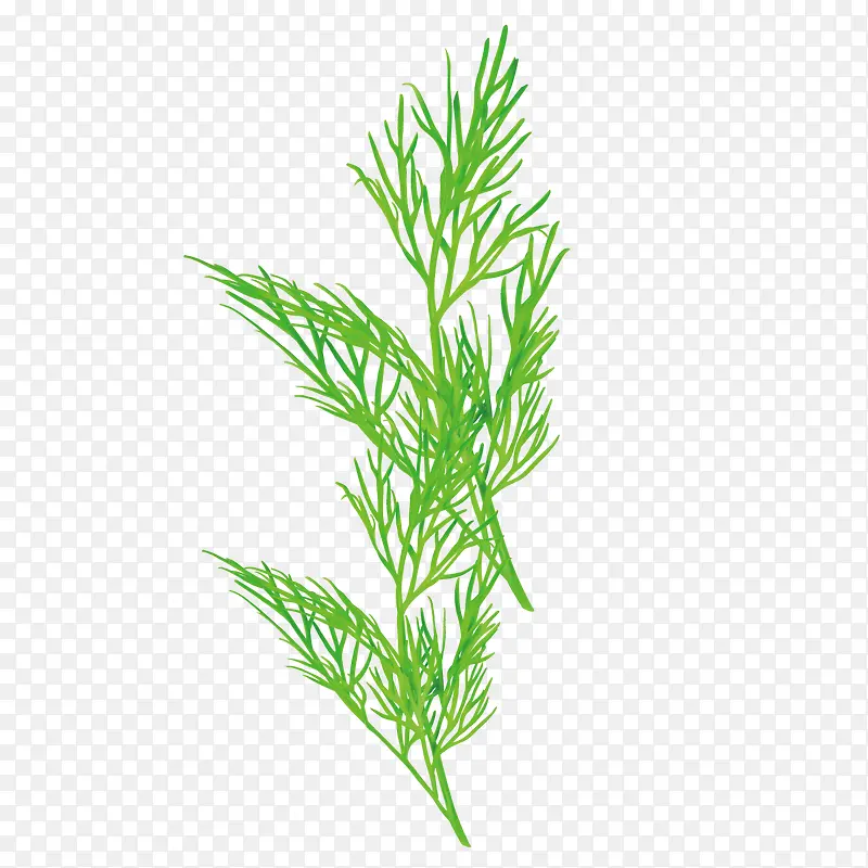 ʸ����ɫ��Ҷ��-������