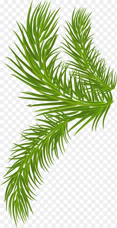 ��ͨ��ɫС��-������