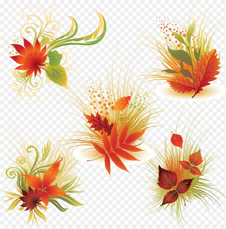 ��Ҷ��С��-������