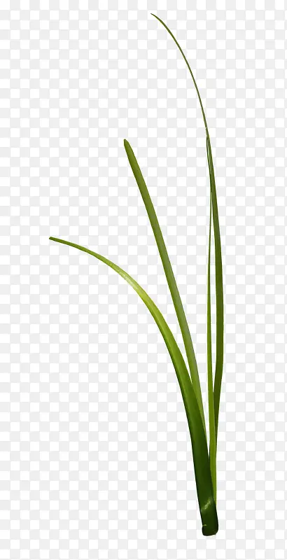 ��ͨС��-������