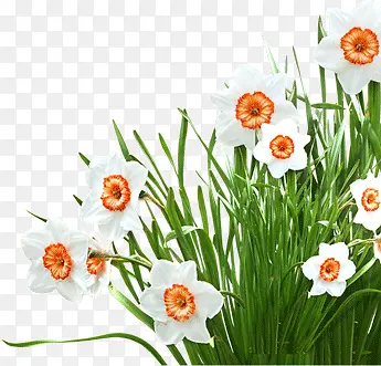 ��ɫС��-������